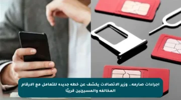 إجراءات صارمة.. وزير الاتصالات يكشف عن خطة جديدة للتعامل مع الأرقام المخالفة والمسيئين قريبًا